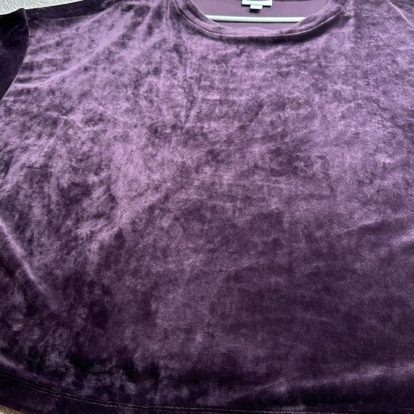 Pure Jill: Purple Velour Oversized Teeshirt Blouse - Picture 5 of 5